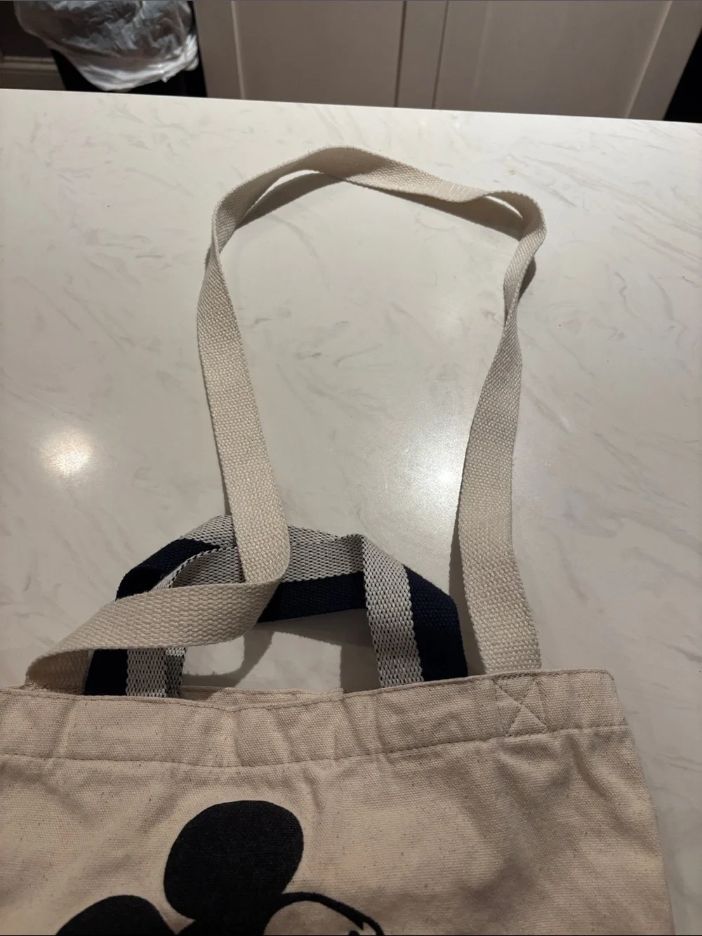 Walt Disney World Mickey Canvas Tote Bag - Cream and Red